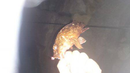 久しぶりの実践