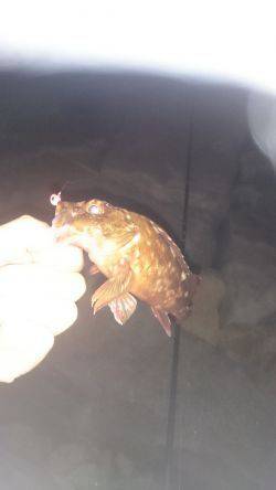 久しぶりの実践