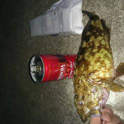 エギングのちガシリング