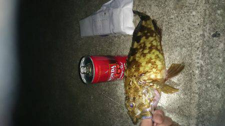 エギングのちガシリング