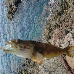 短時間でランガン