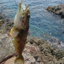 短時間でランガン