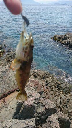 短時間でランガン