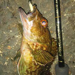 フロートメバルゲーム