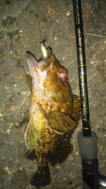 フロートメバルゲーム