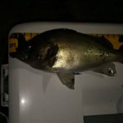 何とかこれだけキープ