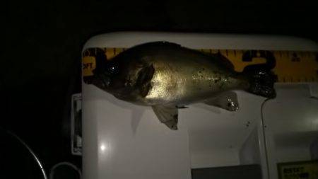 何とかこれだけキープ