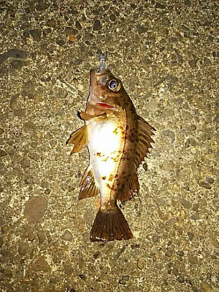 久々の和歌山方面