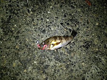 いつもと違うとこに‼