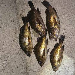 ここに居たのか！