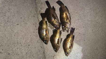 ここに居たのか！