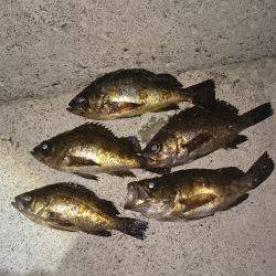 ここに居たのか！