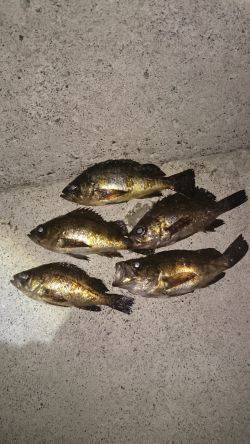 ここに居たのか！