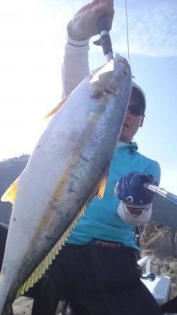 ヒラマサどっかん！