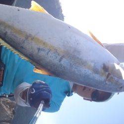 ヒラマサどっかん！