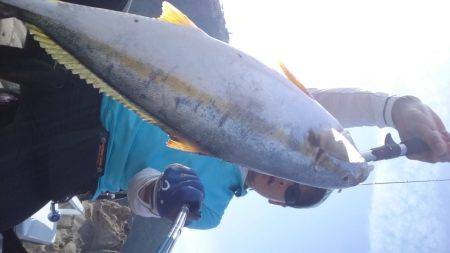 ヒラマサどっかん！