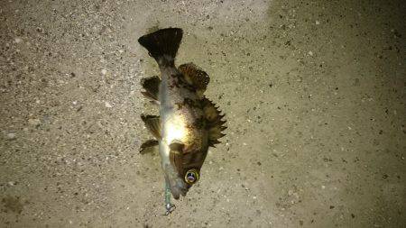 グーフーの猛攻。