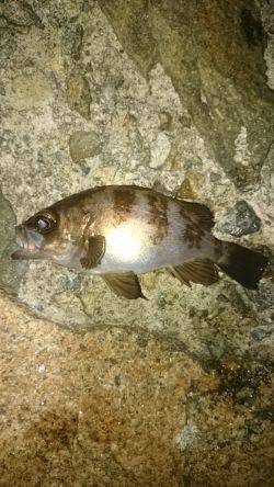 キープできない。