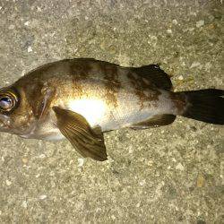 寝ても覚めても