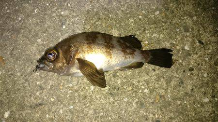 寝ても覚めても