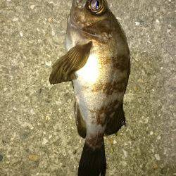 寝ても覚めても