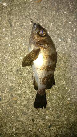 寝ても覚めても