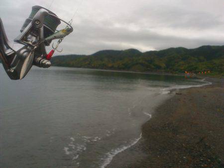 サーフエギングでコウイカ