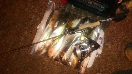 アジング釣行記