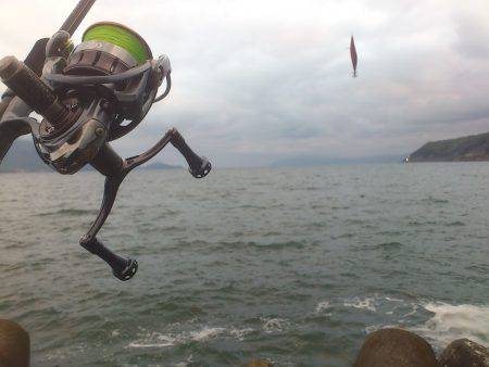 敦賀春イカ開幕