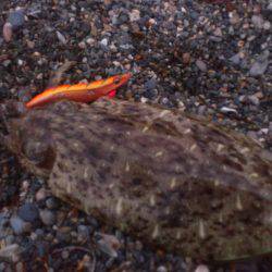 若狭のサーフ事情