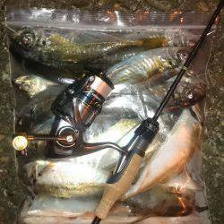 アジング釣行記