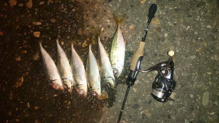 アジング釣行記