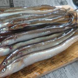 あなごの天ぷらが食べたくて