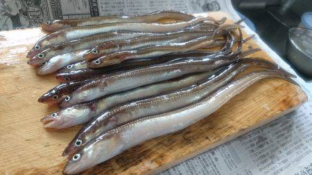 あなごの天ぷらが食べたくて