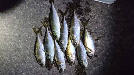 雨までのアジング