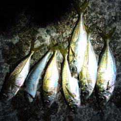 いつまでもアジング