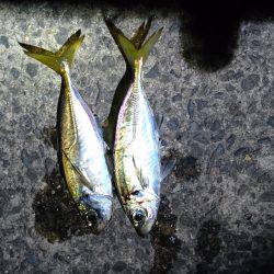 ついに消えたか。