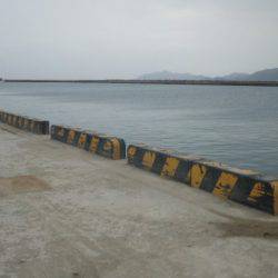 フカセで大物！！