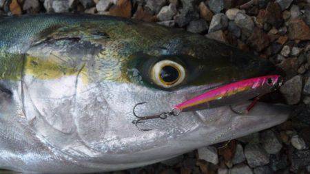 ショアジギング釣行