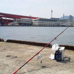 港島北公園で初のキス狙い