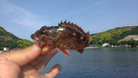 今日はどないや？