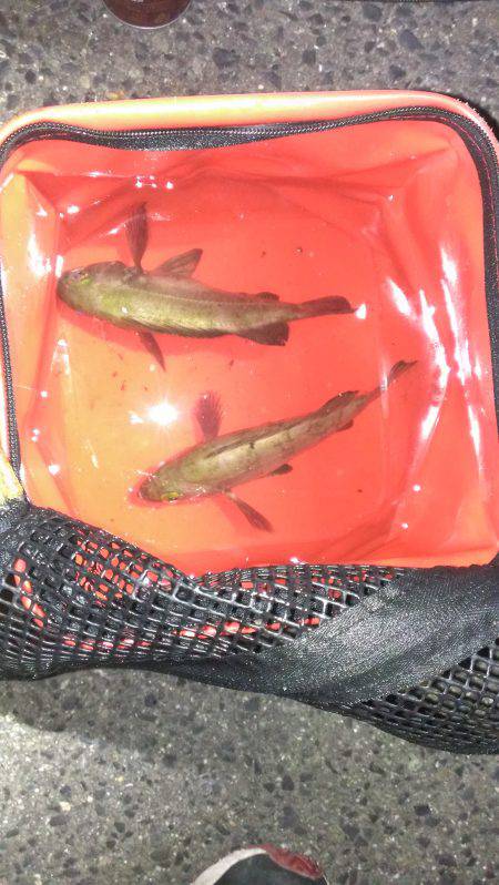 ロッドの入魂式