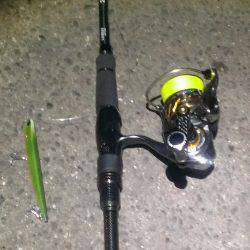 久々に釣れました！