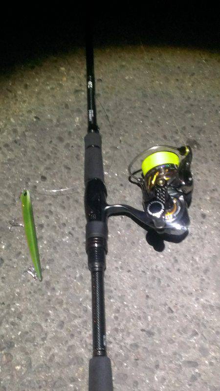 久々に釣れました！