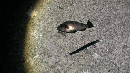 まだバチ抜けいける？