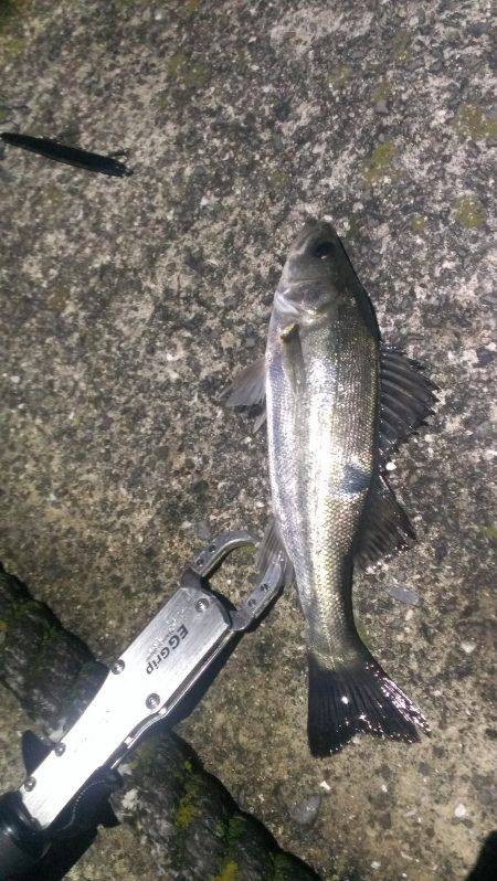 突然活性が上がりました。