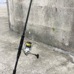 バラシまくりのようやく1ゲット