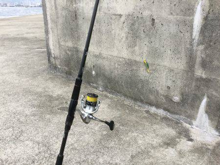 バラシまくりのようやく1ゲット