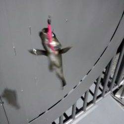 ライトリグ遊び