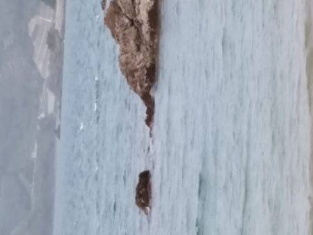 ファミリーフィッシング